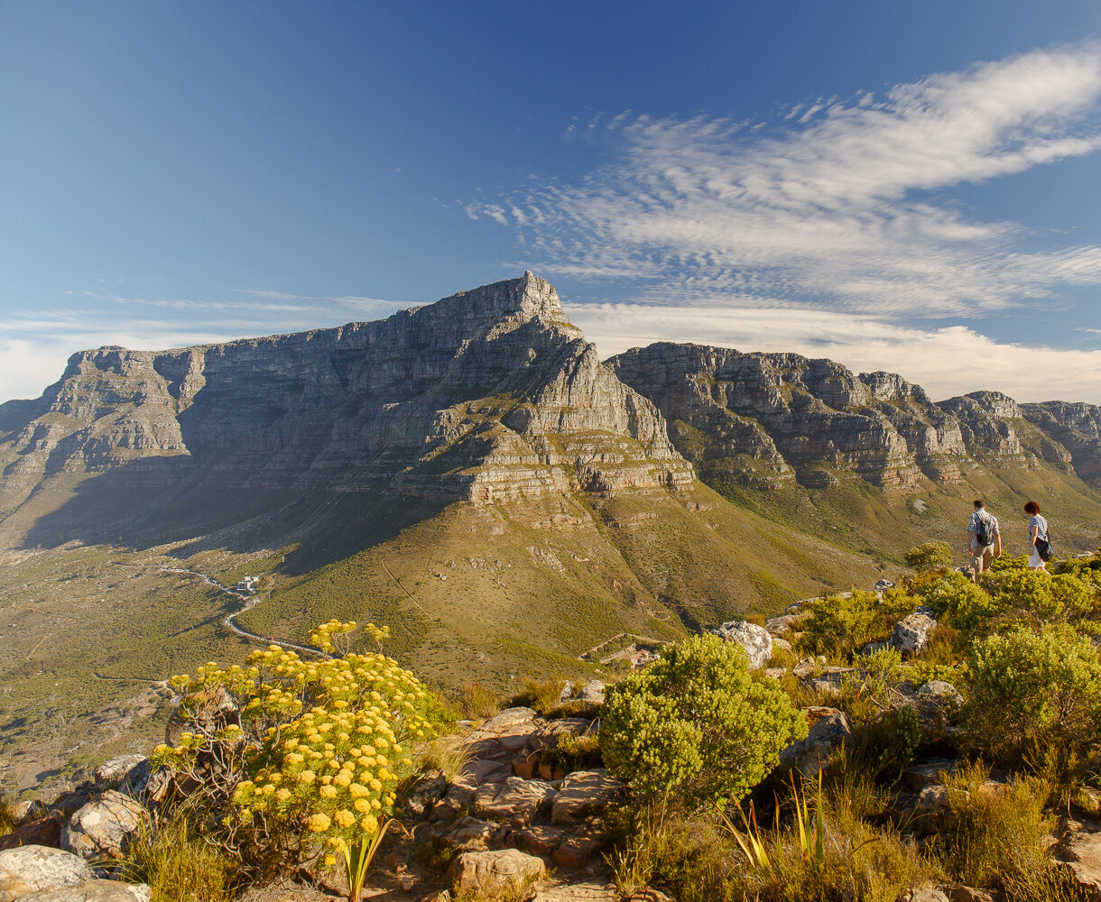 saffa tours